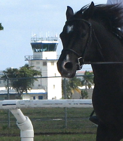 Pompano Tower near the Sand and Spurs stable and riding ring, abuts the Goodyear Blimp hangar